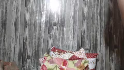 Snapshot of wild_ass_zessa chatting on 11.27.25 wild_ass_zessa online show from 11.27.25