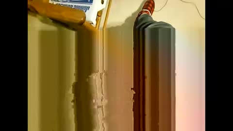 wildman2900 online show from 12.29.24