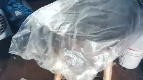 wildman6 online show from 11.02.25