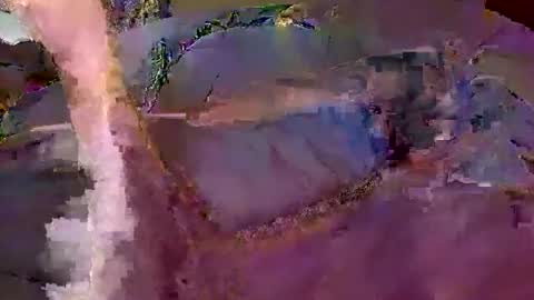 Snapshot of wildmanbobby chatting on 02.20.26 bobby banks online show from 02.20.26