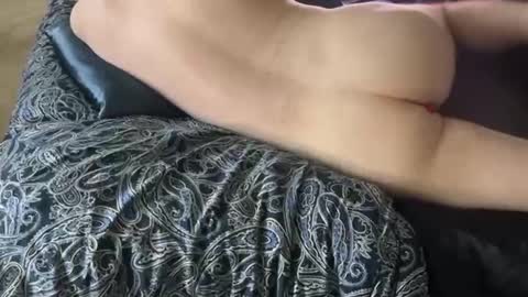 wildtravis online show from 02.14.26