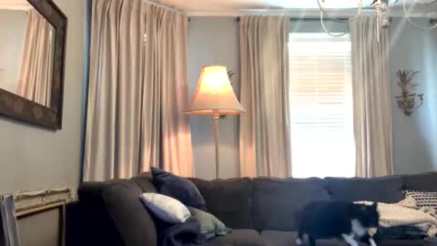 willbeatit online show from 04.18.26