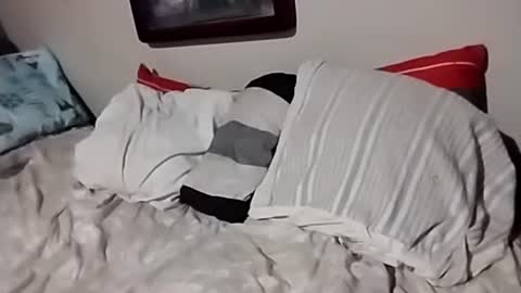 Snapshot of willfast chatting on 10.07.25 willfast online show from 10.07.25