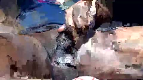 Snapshot of willianel chatting on 12.13.25 willianel online show from 12.13.25