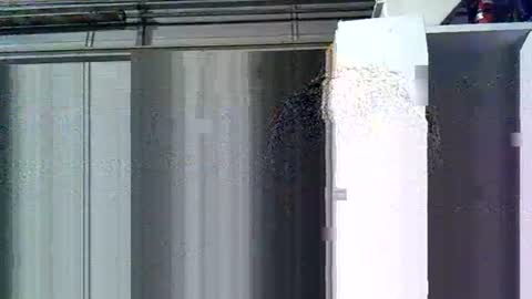 willielowrider online show from 03.10.26