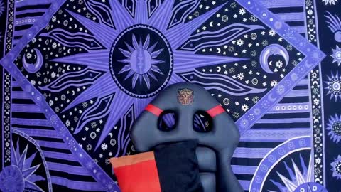 willy_veins online show from 12.21.24