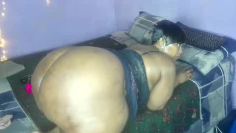 wilmaassylum online show from 10.20.25