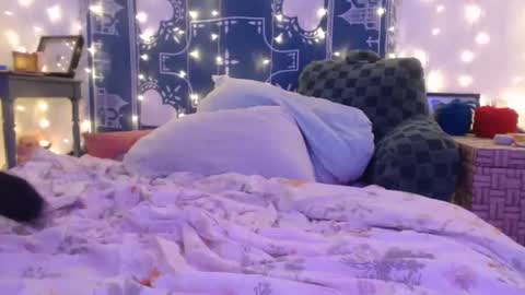 Snapshot of wingardiumleveveosa chatting on 12.19.24 Eevie online show from 12.19.24