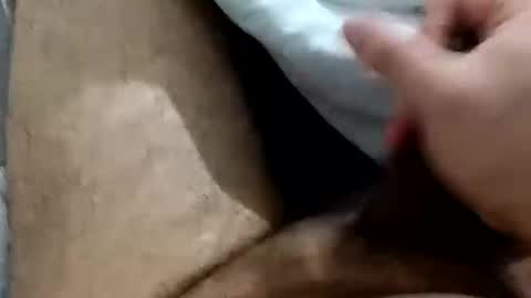 wolfganghanzel online show from 04.28.26