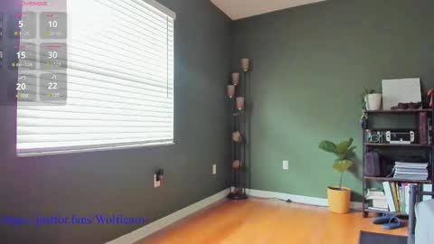 Wolfienov online show from 12.27.24