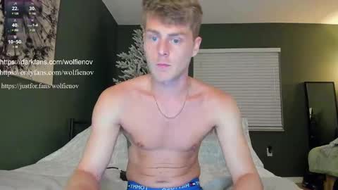 Wolfienov online show from 02.14.25