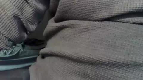 Snapshot of wolfreapsurass chatting on 02.24.26 wolfreapsurass online show from 02.24.26