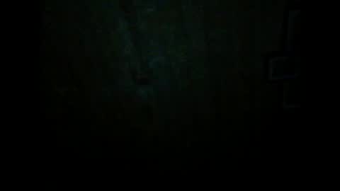 Snapshot of wolfvili chatting on 03.20.26 Vili online show from 03.20.26
