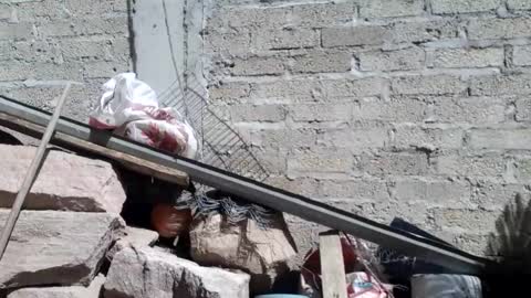 WolvyGalan online show from 01.20.25