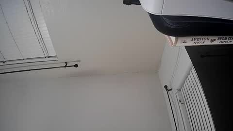 Snapshot of woodcouldshould86 chatting on 01.15.26 WoodCouldShould86 online show from 01.15.26