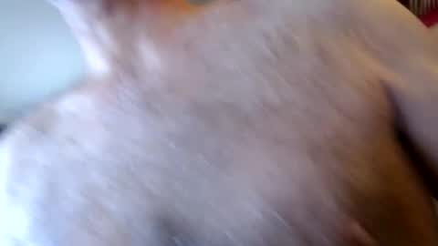 Snapshot of woodiesays chatting on 01.17.26 WoodieSays online show from 01.17.26