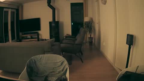 woodwurm and Snoeske online show from 02.28.26