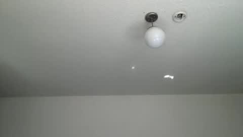 woof_wolf37 online show from 01.09.26