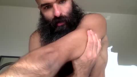 woof_wolf37 online show from 02.11.26