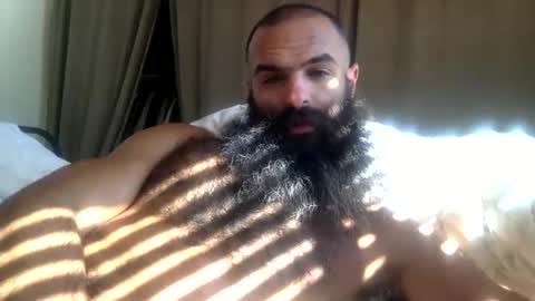 woof_wolf37 online show from 03.12.26