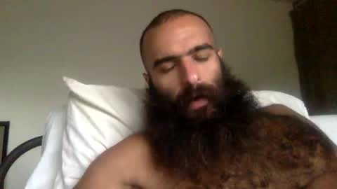 woof_wolf37 online show from 03.31.26