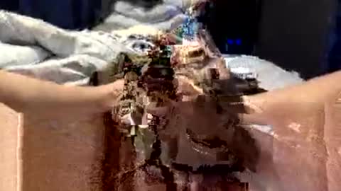 workplace_proximity_associate online show from 09.28.25