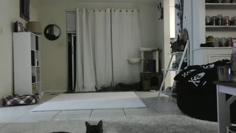 Snapshot of wrenleigh chatting on 12.26.24 Crystal Lake online show from 12.26.24