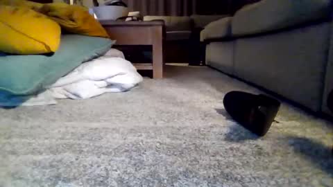 wyndir online show from 11.15.25