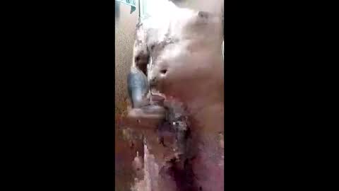 Blk online show from 03.29.26