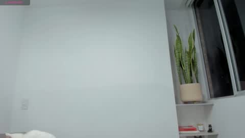 Xavier online show from 11.23.25