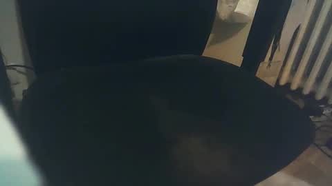 bibi online show from 02.11.25