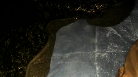 Toke online show from 01.22.25