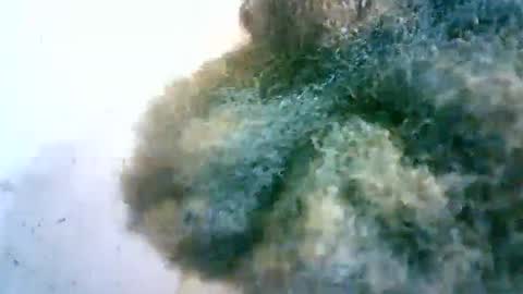 xenna610827 online show from 02.20.25