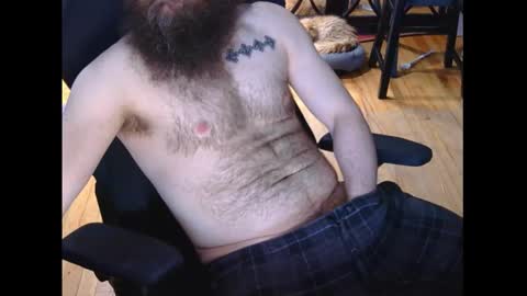 xiisil online show from 03.11.26