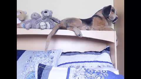 Snapshot of xindianillusion44 chatting on 02.06.26 Miss Ria online show from 02.06.26