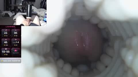 xoxowtf online show from 12.15.25