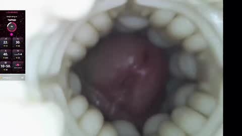 xoxowtf online show from 02.09.26