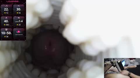 xoxowtf online show from 02.28.26