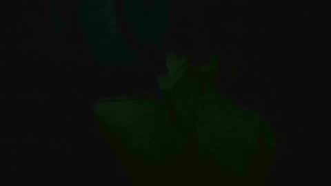 xposed_edger online show from 03.02.25