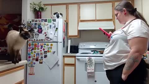 Strawberry Jane online show from 12.14.24