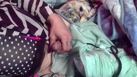 Snapshot of xxxgarterfreekxx chatting on 03.04.25 Silky Lingerie grrl online show from 03.04.25