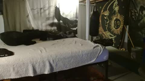 Snapshot of xxxjrstrokesxxx chatting on 09.20.25 xxxjrstrokesxxx online show from 09.20.25