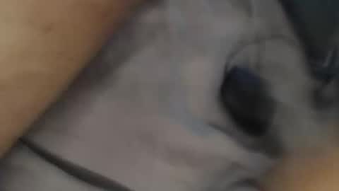 yallayalla1806 online show from 11.18.25