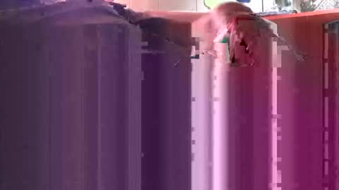 Snapshot of yangolox3 chatting on 10.04.25 yangolox3 online show from 10.04.25