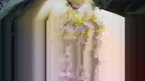 Snapshot of yangolox3 chatting on 11.14.25 yangolox3 online show from 11.14.25