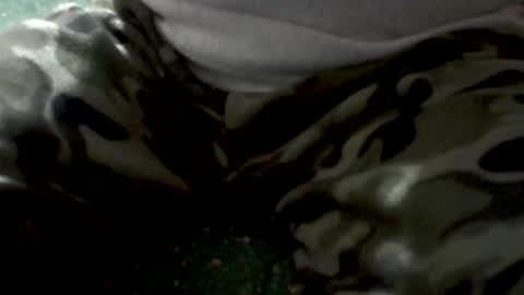 Yankee online show from 02.01.26