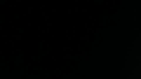 Yasmina online show from 12.03.24