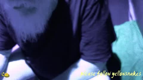 .     y e l l o w s n a k e s       . online show from 12.18.25