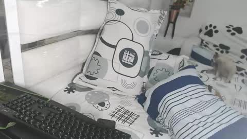 YINAROSS online show from 03.10.26