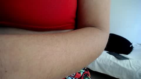 tulipan online show from 01.05.25